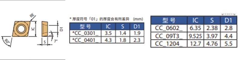 CCGT09T304-CL